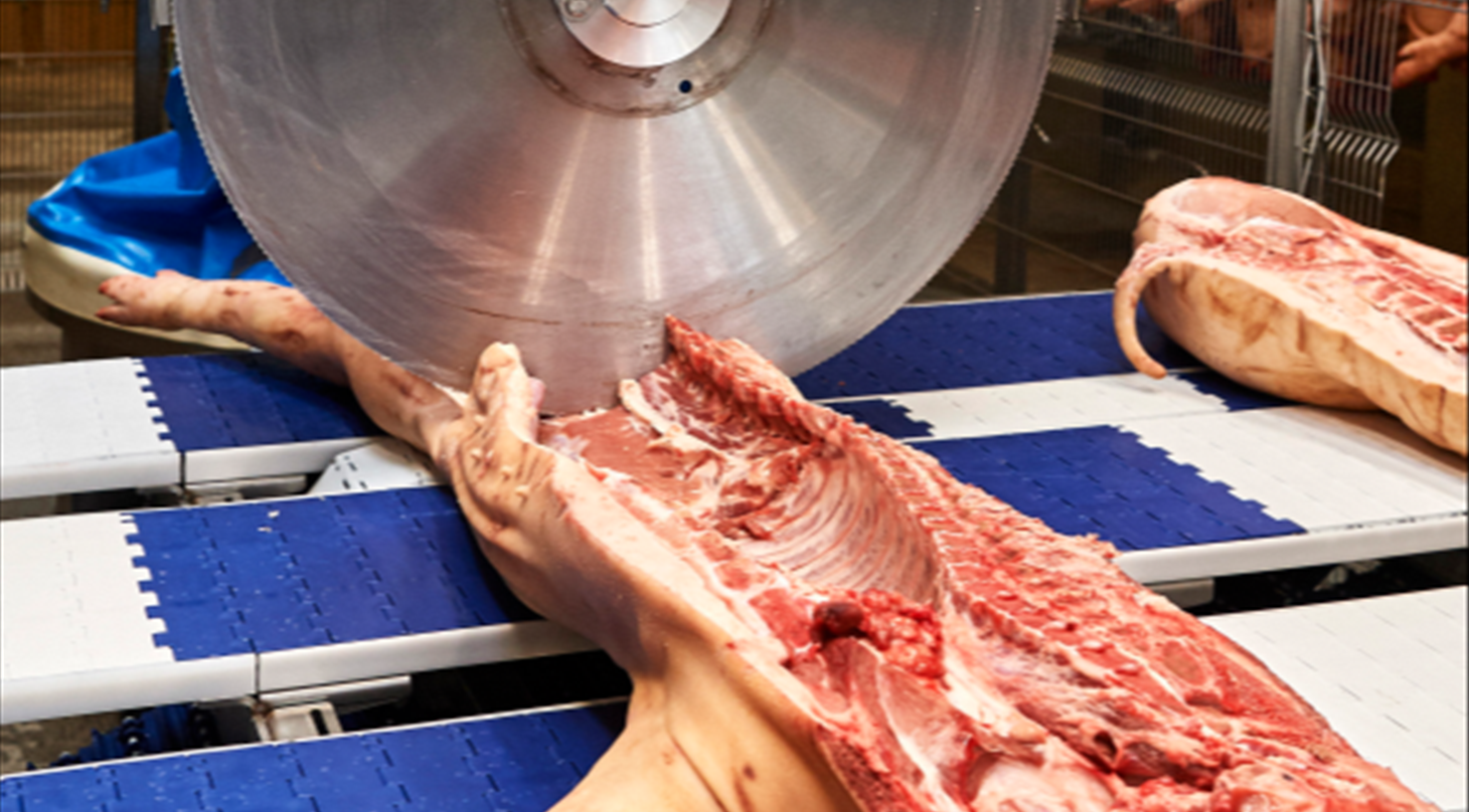 102929_DMRI-Primal-cut-inspection_2025-web.pdf